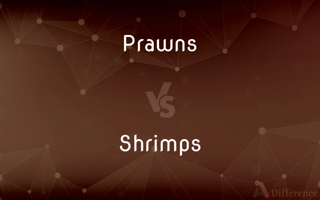Prawns vs. Shrimps — What's the Difference?