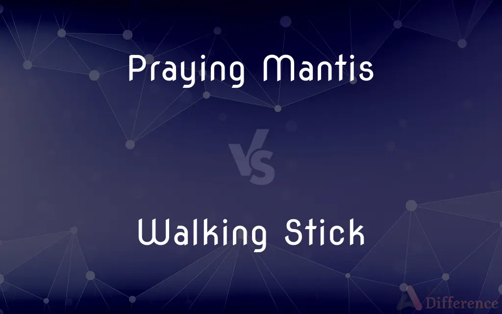 Praying Mantis vs. Walking Stick — What's the Difference?