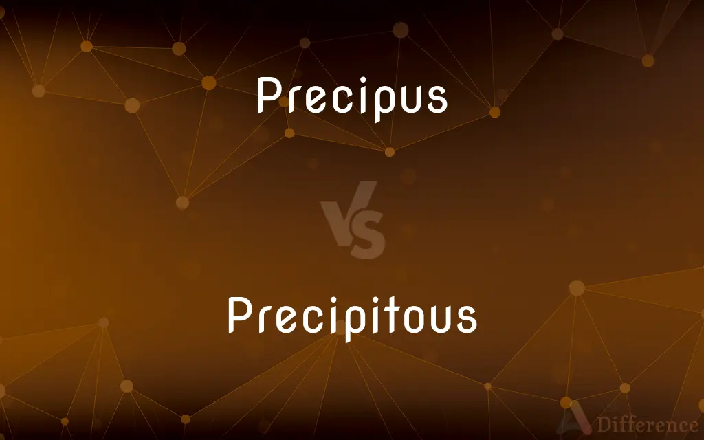 Precipus vs. Precipitous — Which is Correct Spelling?