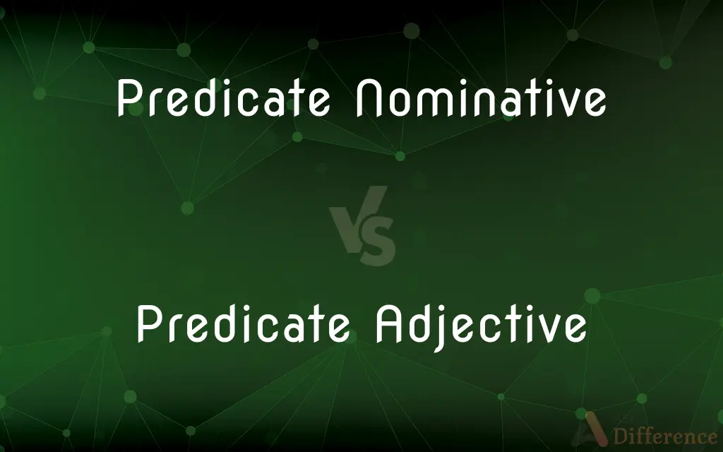 Predicate Nominative vs. Predicate Adjective — What's the Difference?