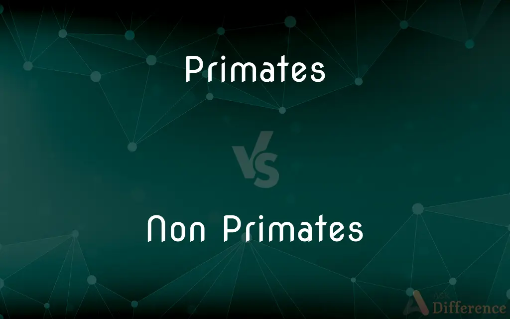 Primates vs. Non Primates — What's the Difference?