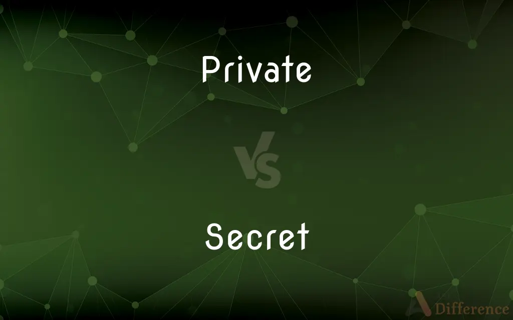 Private vs. Secret — What's the Difference?