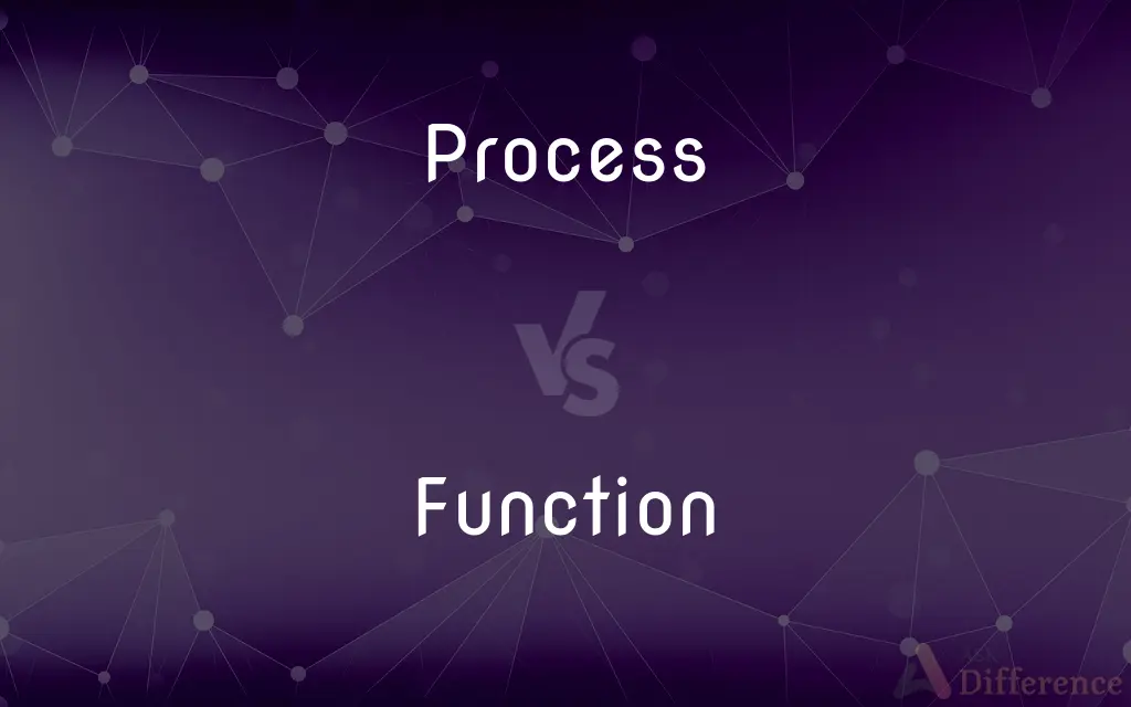 Process vs. Function — What's the Difference?