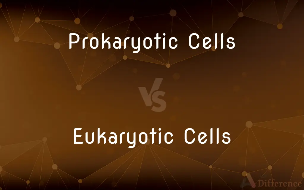 Prokaryotic Cells vs. Eukaryotic Cells — What's the Difference?