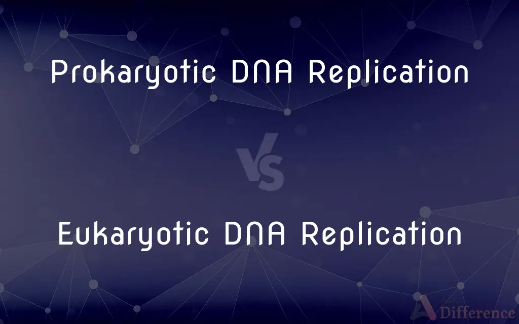 Prokaryotic DNA Replication vs. Eukaryotic DNA Replication — What's the Difference?