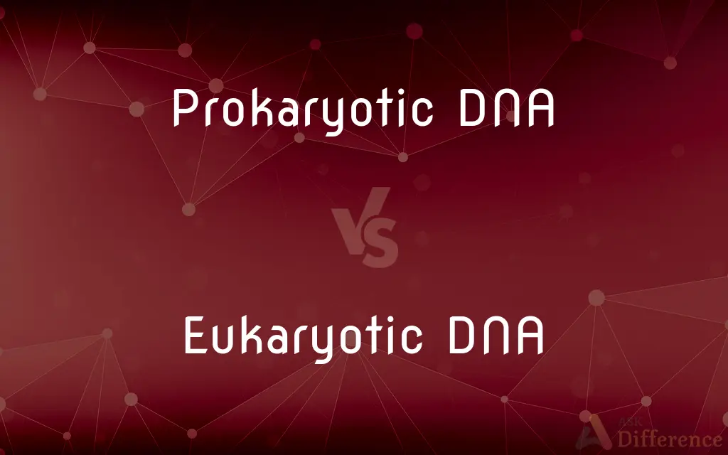 Prokaryotic DNA vs. Eukaryotic DNA — What's the Difference?