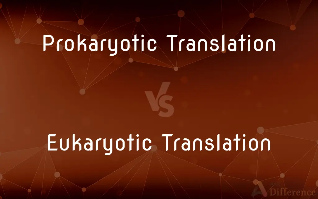 Prokaryotic Translation vs. Eukaryotic Translation — What's the Difference?