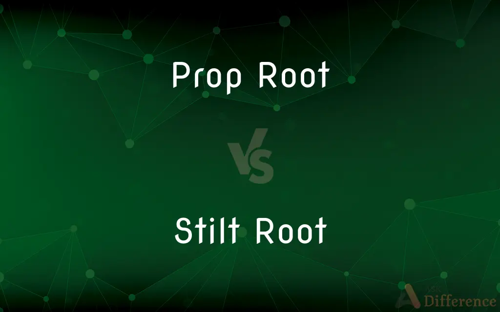 Prop Root vs. Stilt Root — What's the Difference?