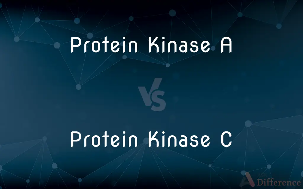 Protein Kinase A vs. Protein Kinase C — What's the Difference?