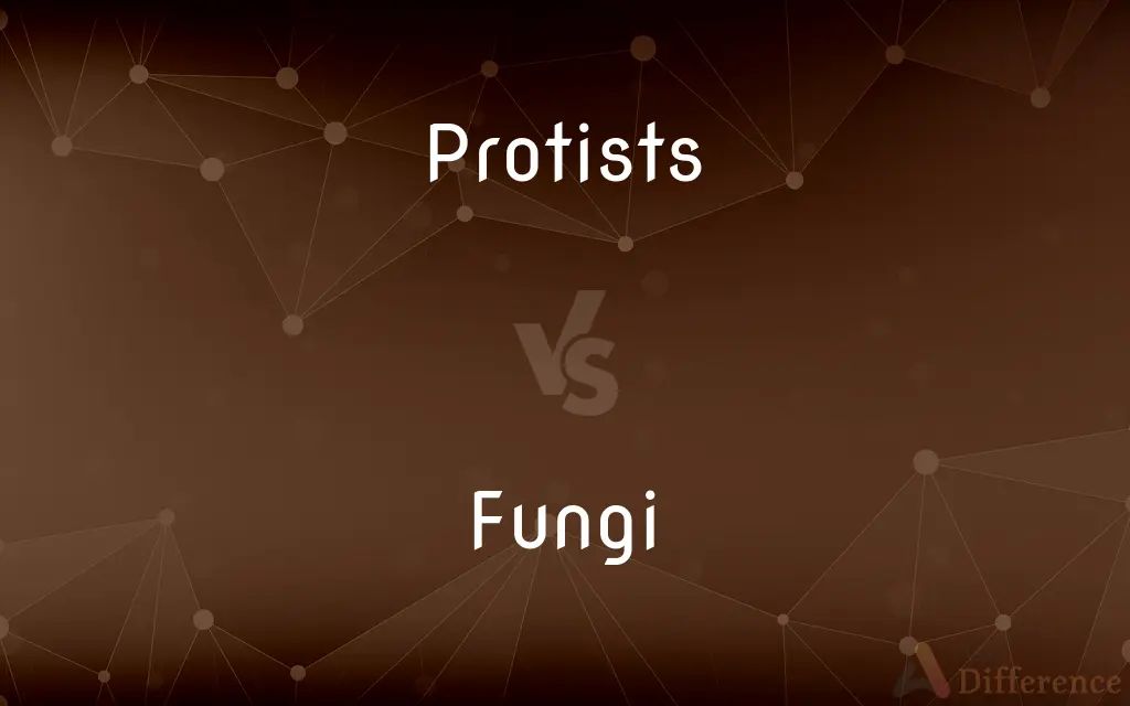 Protists vs. Fungi — What's the Difference?