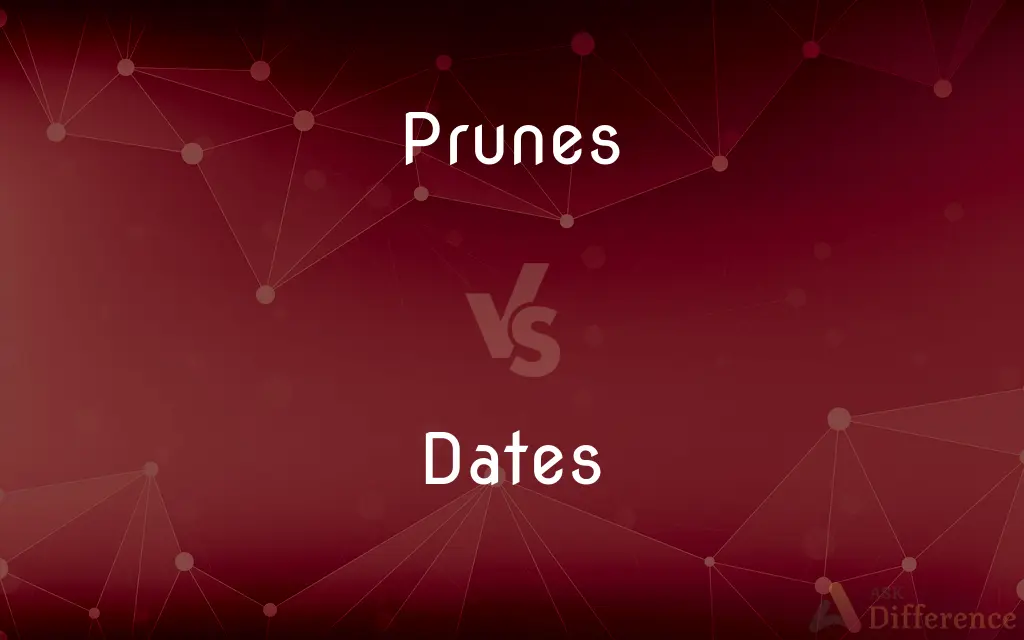 Prunes vs. Dates — What's the Difference?