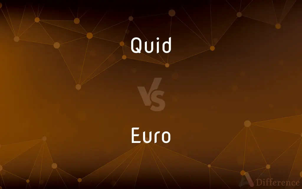 Quid vs. Euro — What's the Difference?