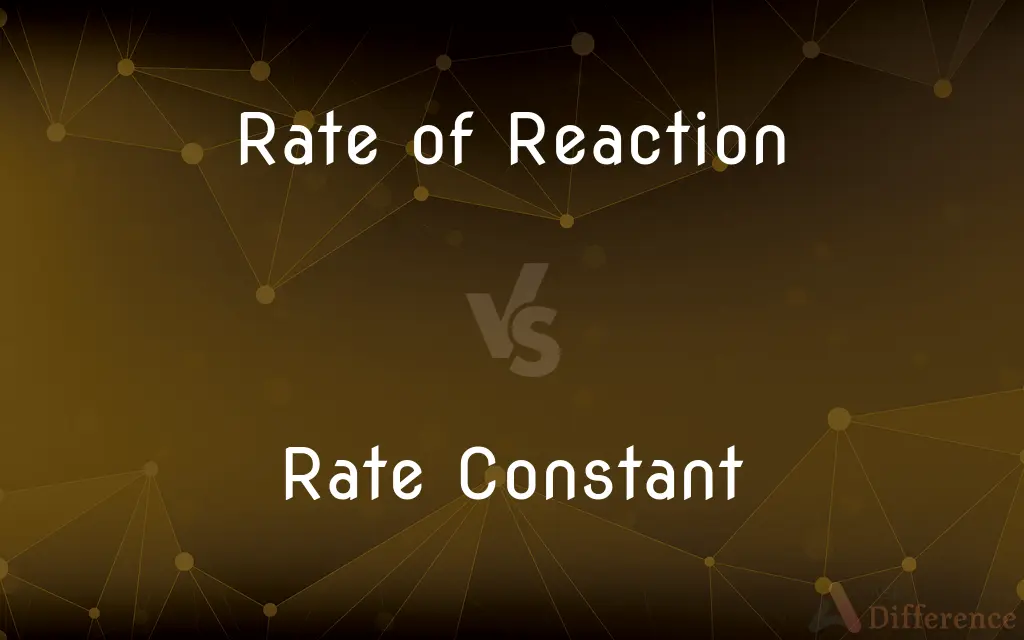 Rate of Reaction vs. Rate Constant — What's the Difference?