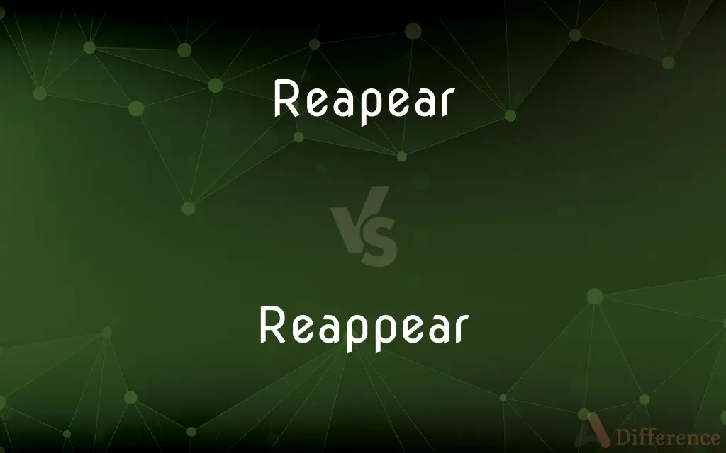 Reapear vs. Reappear — Which is Correct Spelling?