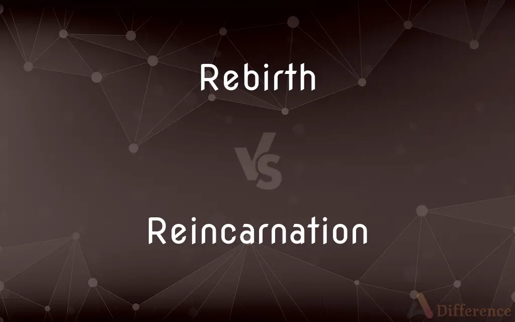 Rebirth vs. Reincarnation — What's the Difference?
