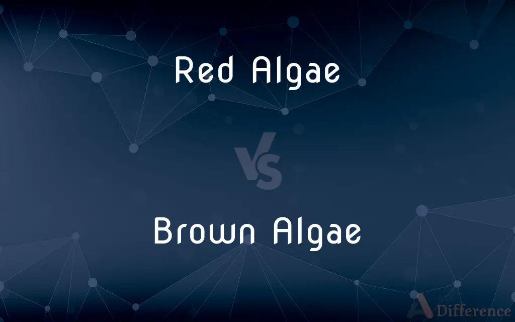 Red Algae vs. Brown Algae — What's the Difference?