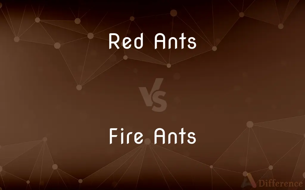 Red Ants vs. Fire Ants — What's the Difference?