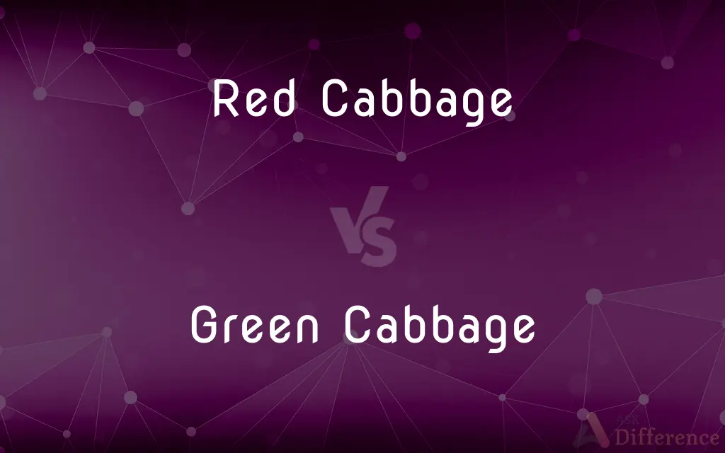 Red Cabbage vs. Green Cabbage — What's the Difference?