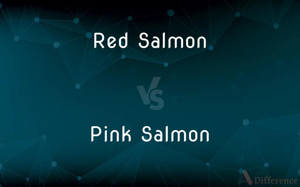 Red Salmon Vs Pink Salmon — Whats The Difference 7258