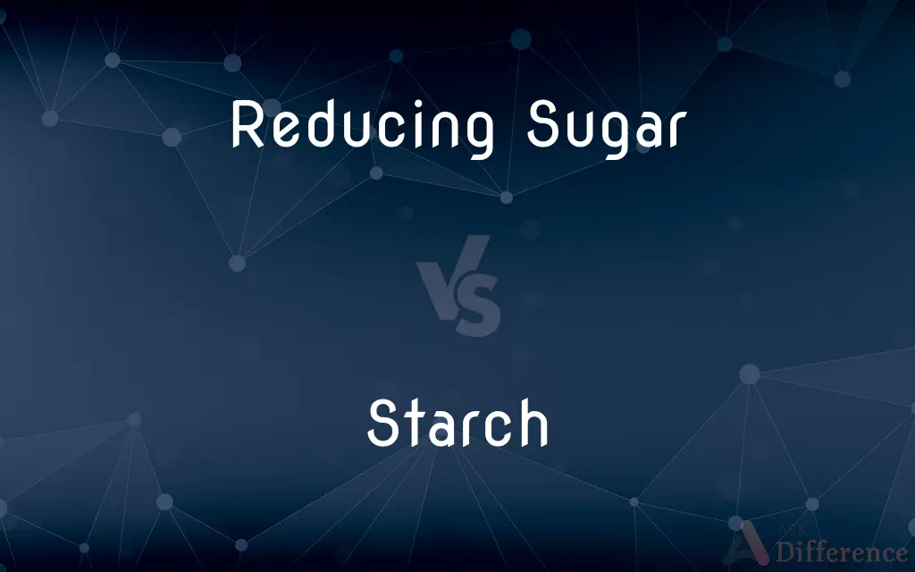 Reducing Sugar vs. Starch — What’s the Difference?