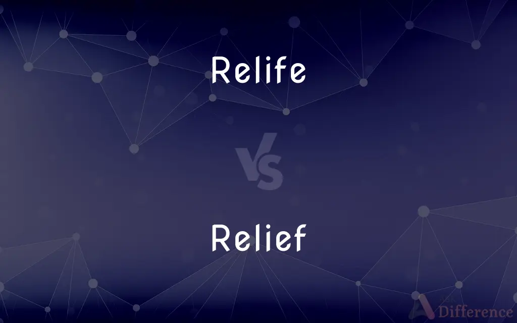 Relife vs. Relief — What's the Difference?