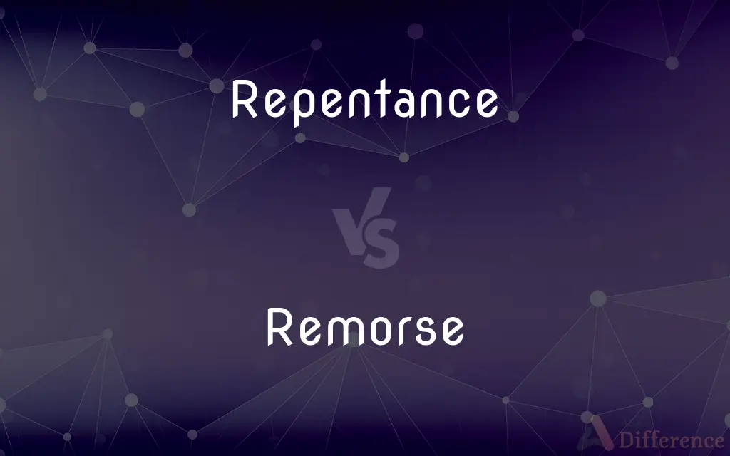 Repentance Vs Remorse — Whats The Difference 