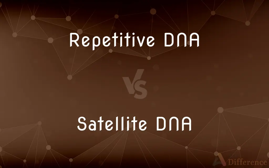 Repetitive DNA vs. Satellite DNA — What's the Difference?