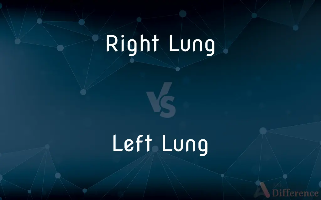 Right Lung vs. Left Lung — What's the Difference?