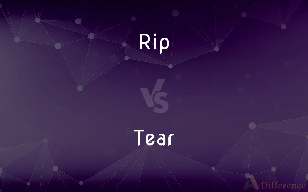 Rip Vs Tear What s The Difference 