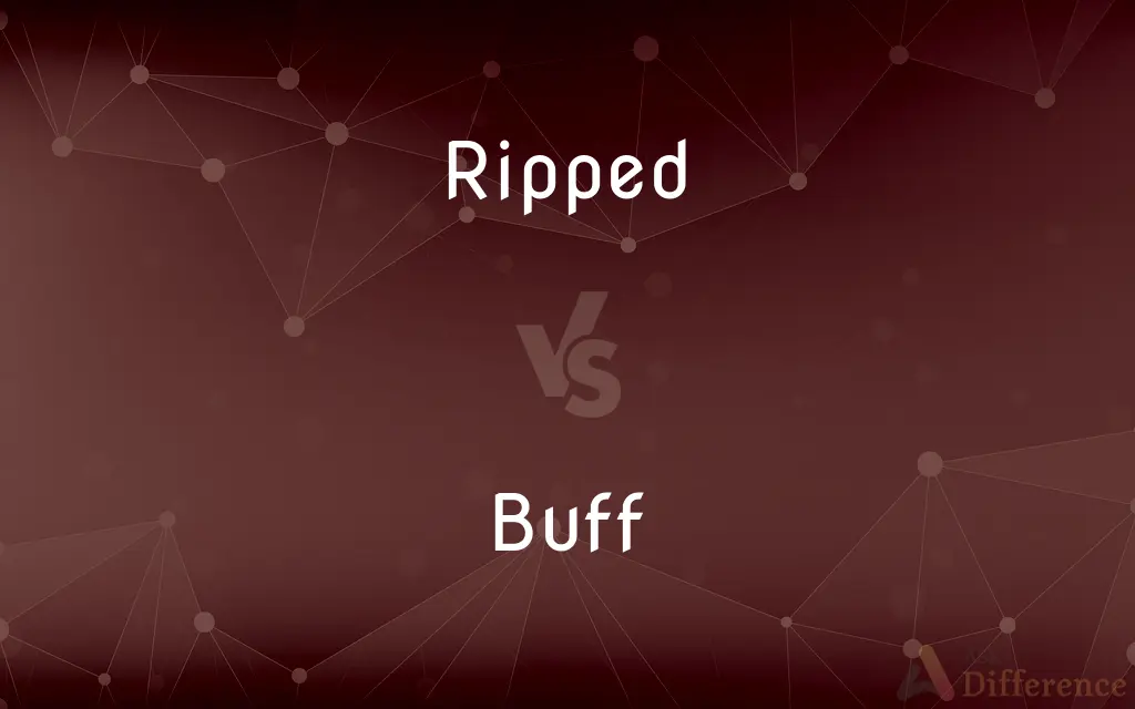 ripped-vs-buff-what-s-the-difference