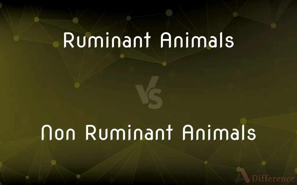 Ruminant Animals vs. Non Ruminant Animals — What's the Difference?