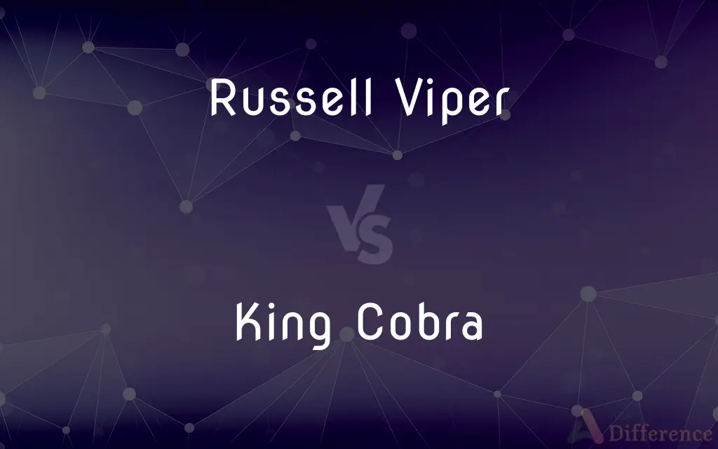 Russell Viper vs. King Cobra — What's the Difference?