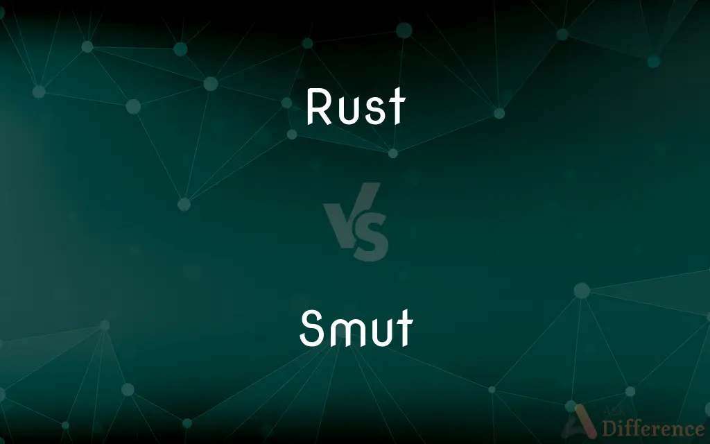Rust vs. Smut — What's the Difference?