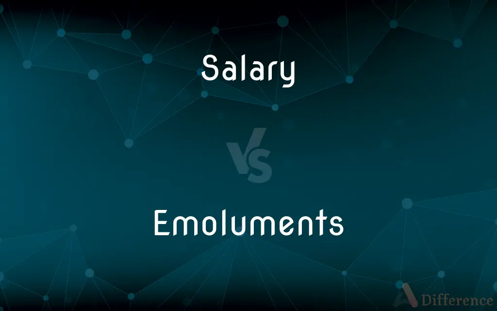 Salary vs. Emoluments — What's the Difference?