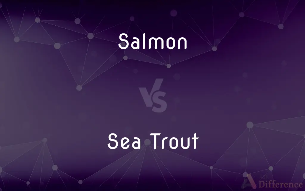 Salmon vs. Sea Trout — What's the Difference?