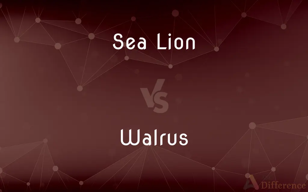 Sea Lion vs. Walrus — What's the Difference?