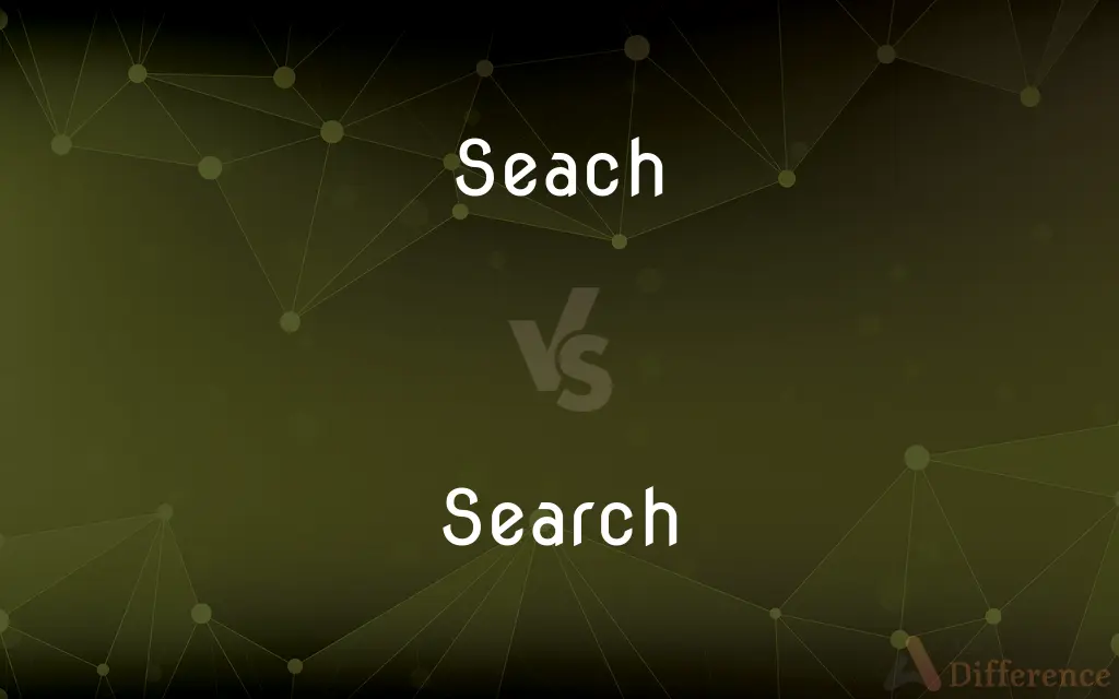 Seach vs. Search — Which is Correct Spelling?