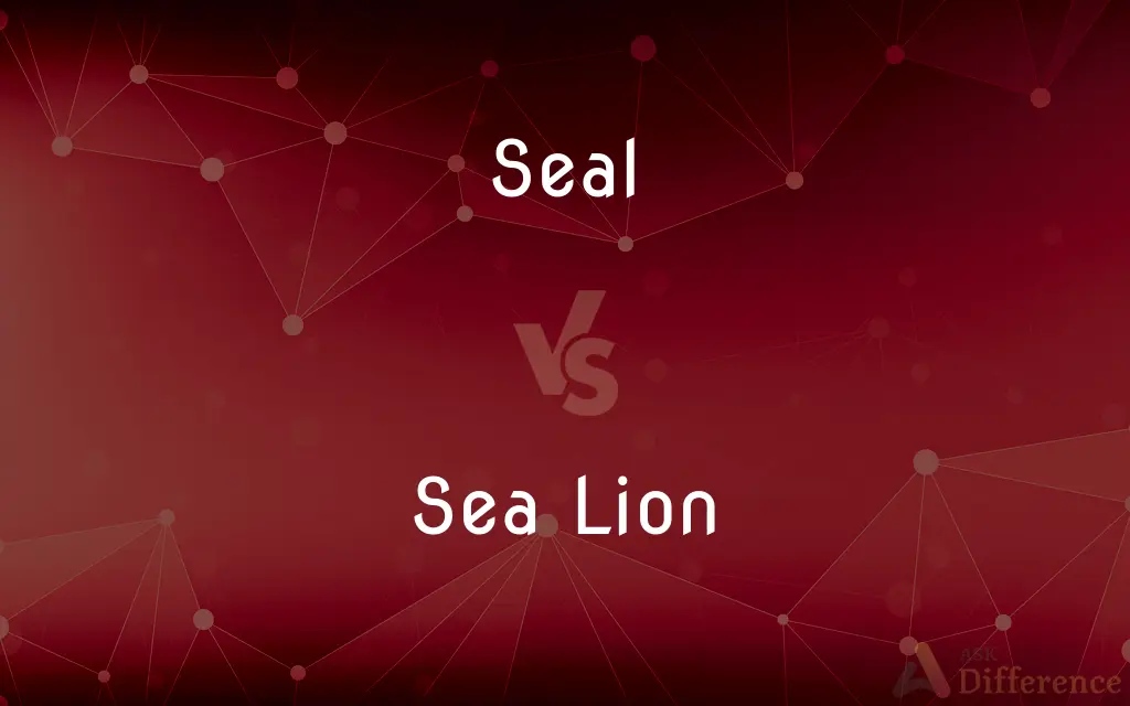 Seal vs. Sea Lion — What's the Difference?