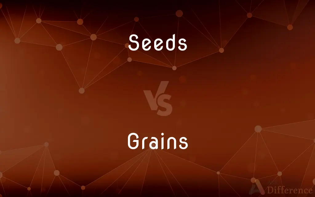 Seeds vs. Grains — What's the Difference?
