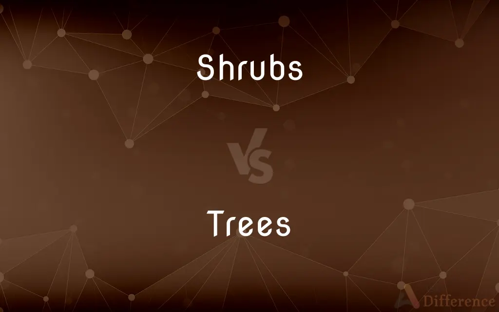 Shrubs vs. Trees — What's the Difference?