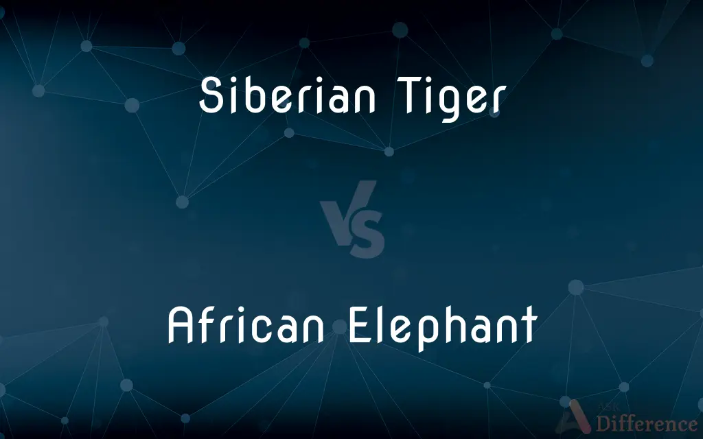 Siberian Tiger vs. African Elephant — What's the Difference?