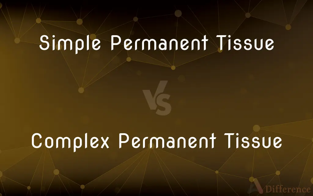 Simple Permanent Tissue vs. Complex Permanent Tissue — What's the Difference?