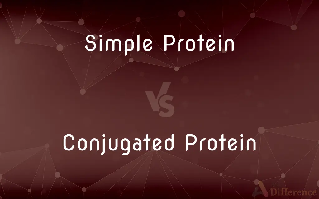 Simple Protein vs. Conjugated Protein — What's the Difference?