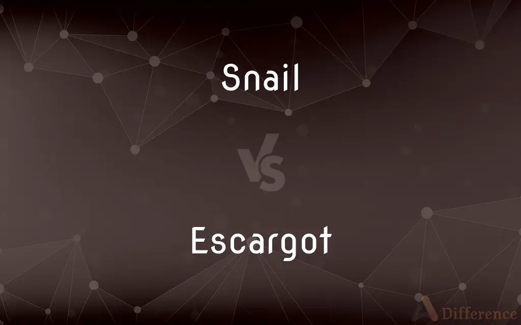 Snail vs. Escargot — What’s the Difference?