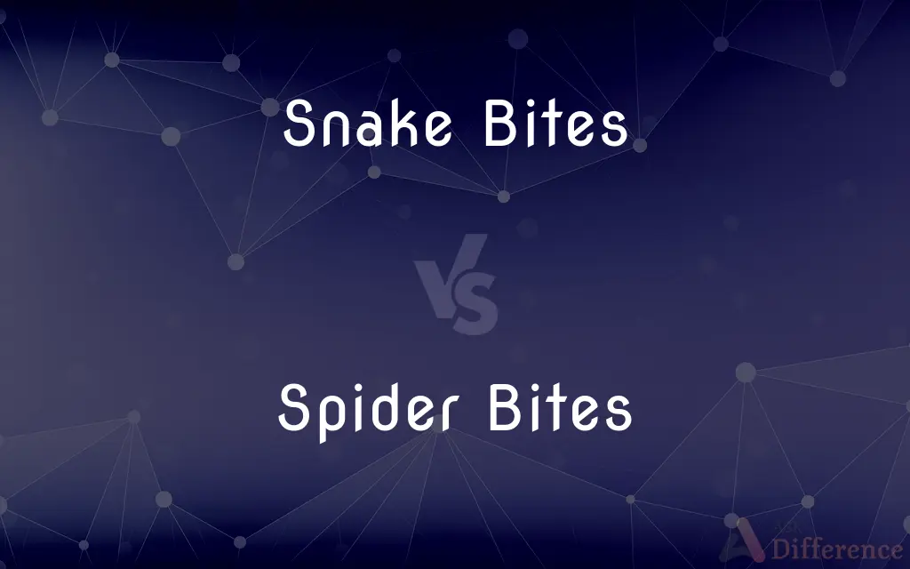 Snake Bites vs. Spider Bites — What's the Difference?