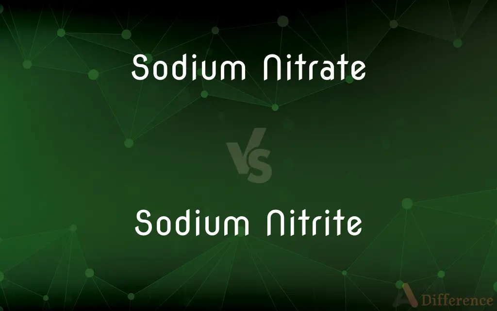 Sodium Nitrate vs. Sodium Nitrite — What's the Difference?