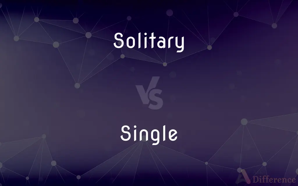 Solitary vs. Single — What's the Difference?