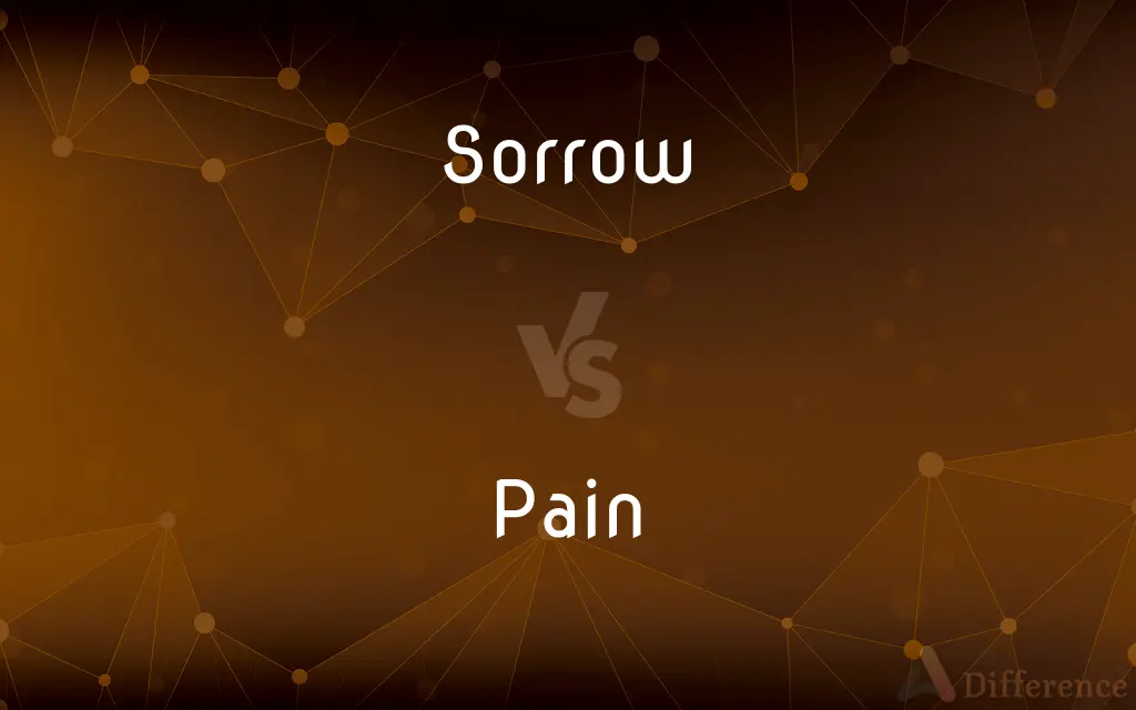 Sorrow Vs Pain What s The Difference 