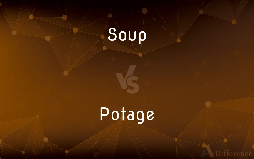 Soup Vs Potage What s The Difference 