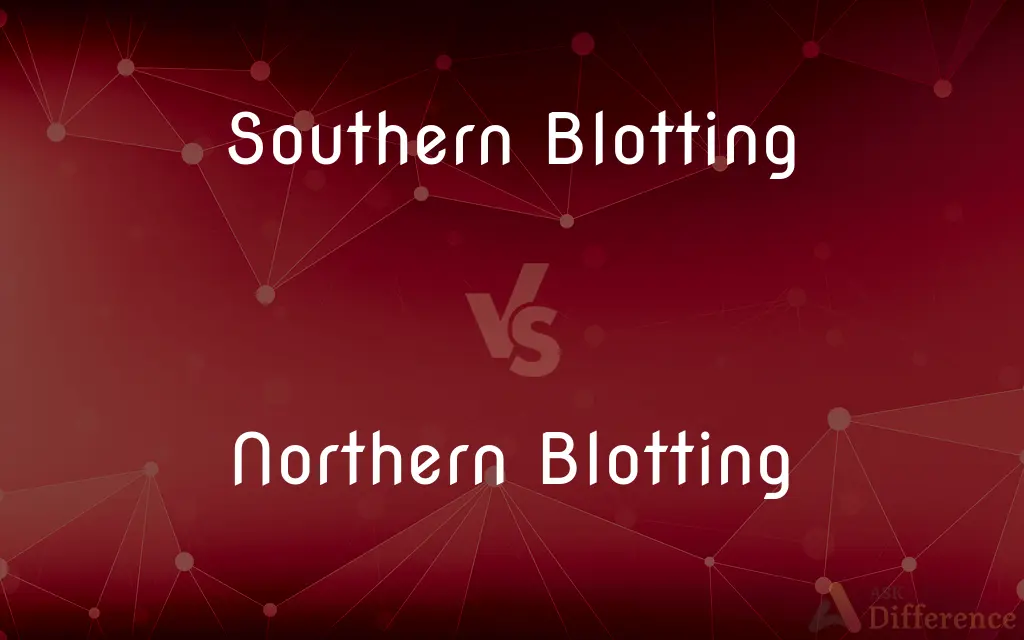 Southern Blotting vs. Northern Blotting — What's the Difference?